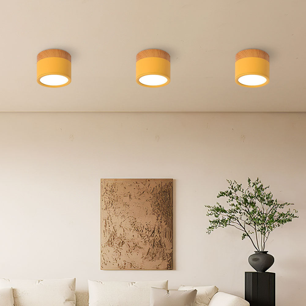 Cylindrical Glow | Playful Elegant Flush Mount Ceiling Light Fixture 3